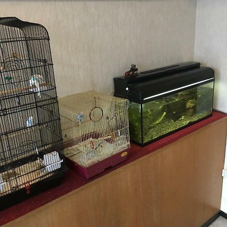 Okinawa Hotel Continental Naha Eksteriør billede