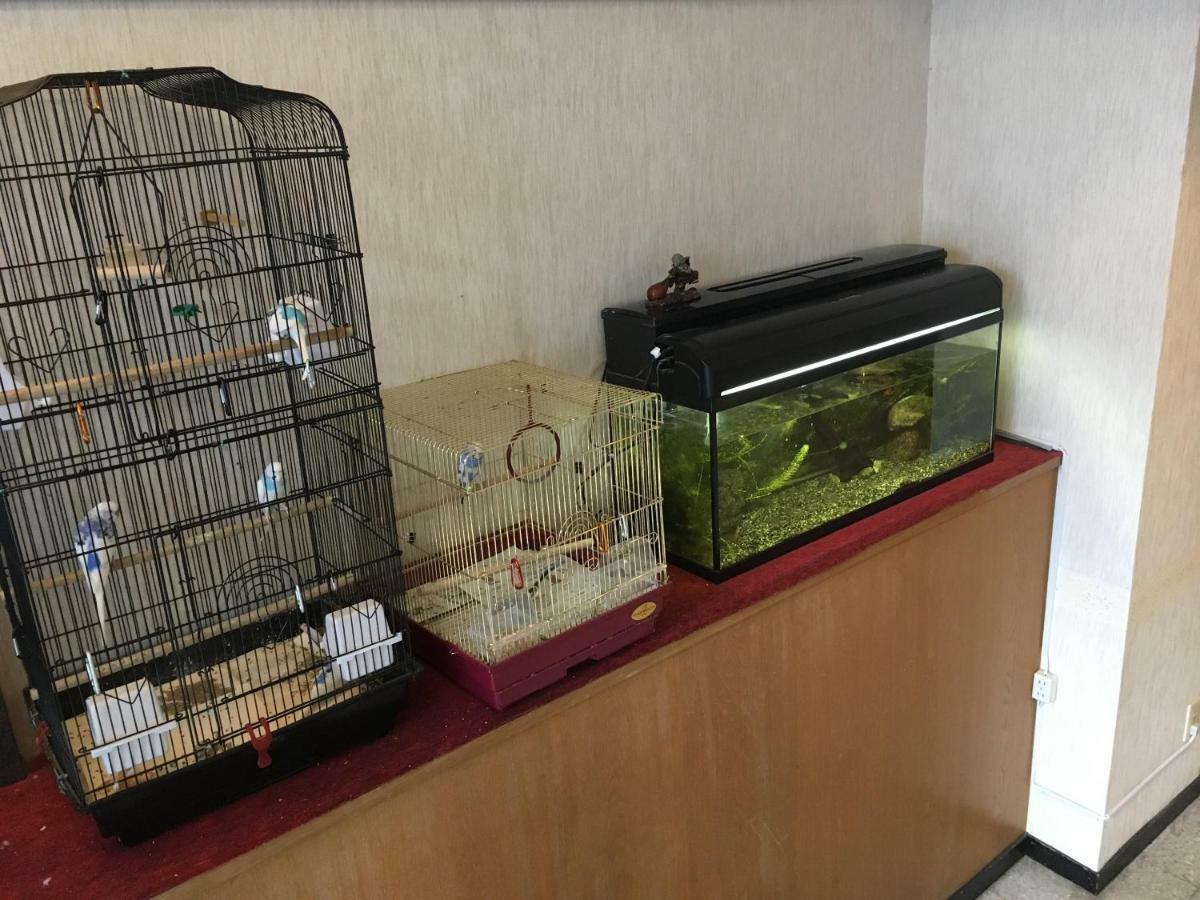 Okinawa Hotel Continental Naha Eksteriør billede